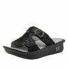 Kasha Ivalace Sandal -Deals Alegria Shoes Store KAS 7515 S1