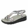 Roz Lovely Grey Sandal -Deals Alegria Shoes Store ROZ 7552 S1 2dafba3e c004 4856 b23d 393a680c7bdd