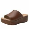 Triniti Clay Sandal 2 Triniti Clay Sandal -Deals Alegria Shoes Store TRI 7407 S1
